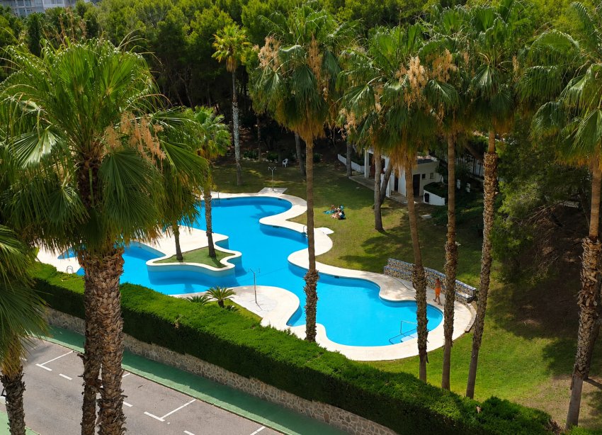 Rynek Wtórny - Apartament - Orihuela Costa - Campoamor
