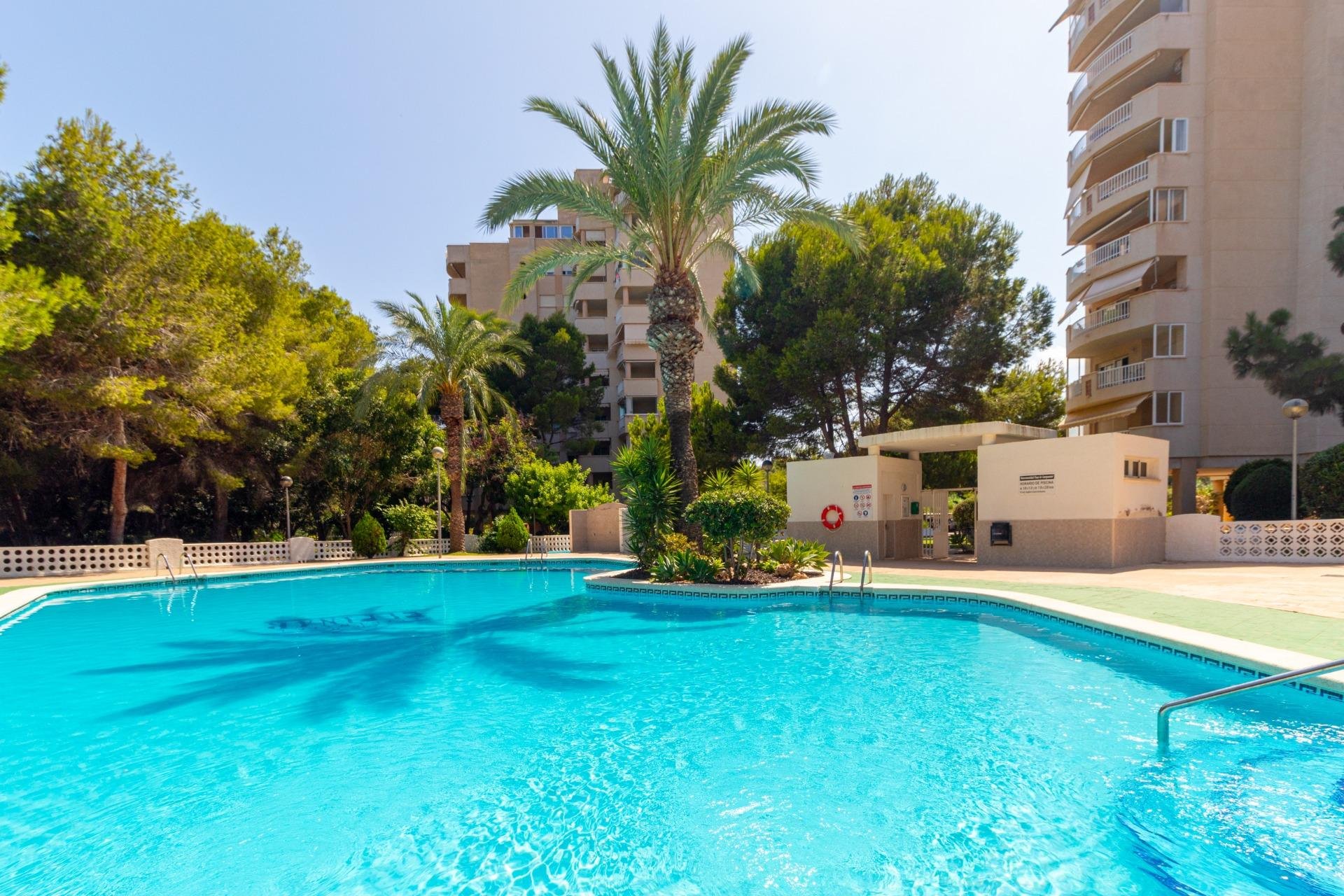 Rynek Wtórny - Apartament - Orihuela Costa - Campoamor