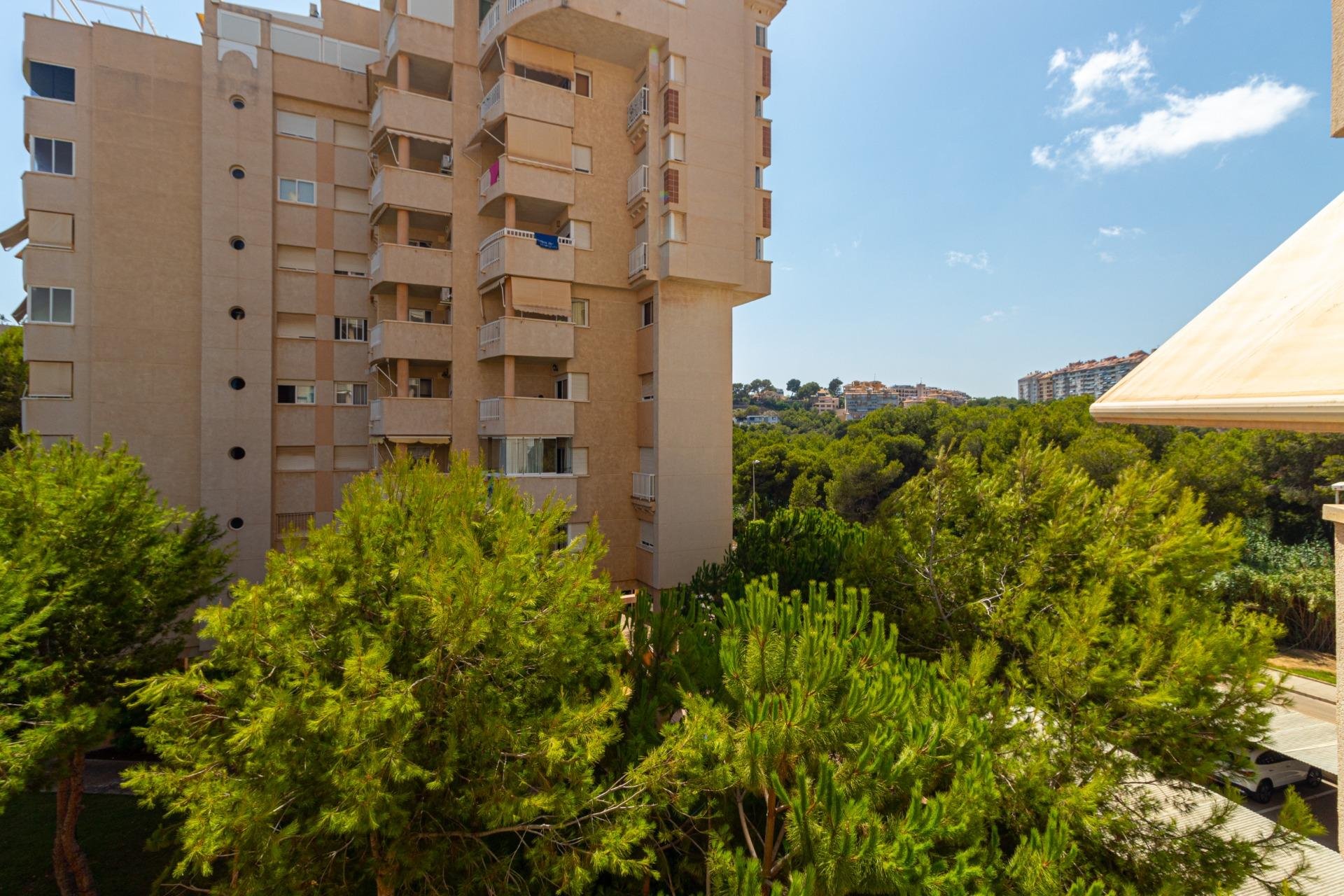 Rynek Wtórny - Apartament - Orihuela Costa - Campoamor