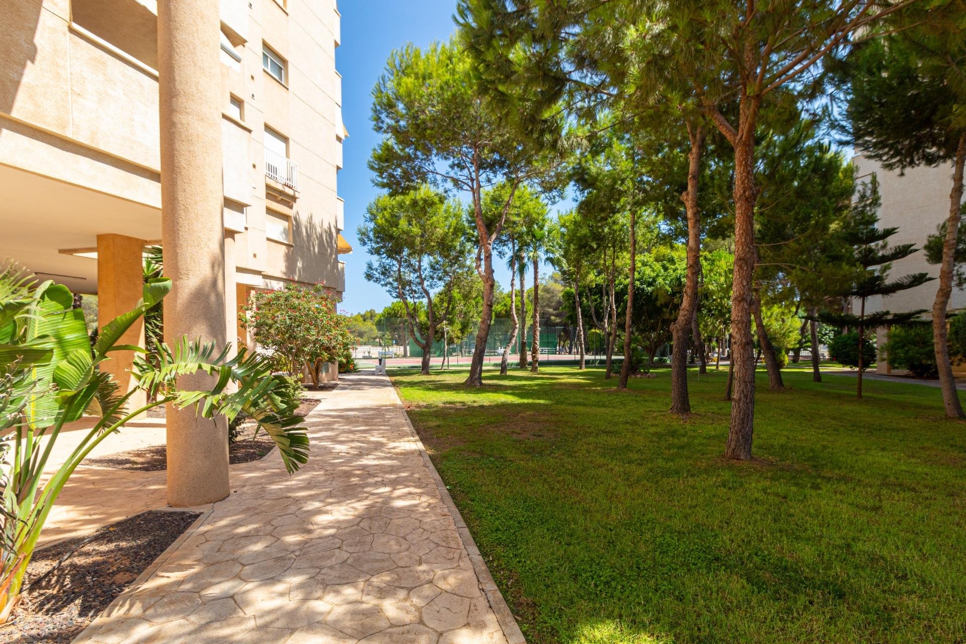 Rynek Wtórny - Apartament - Orihuela Costa - Campoamor