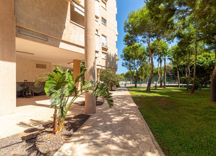 Rynek Wtórny - Apartament - Orihuela Costa - Campoamor