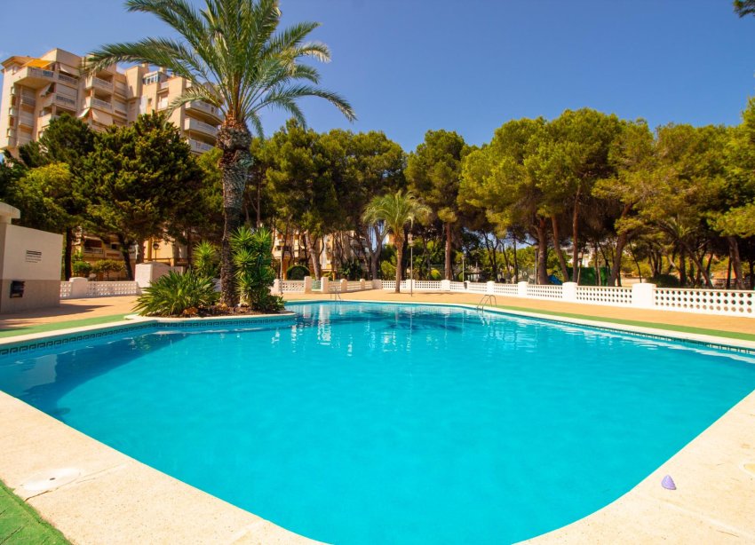 Rynek Wtórny - Apartament - Orihuela Costa - Campoamor
