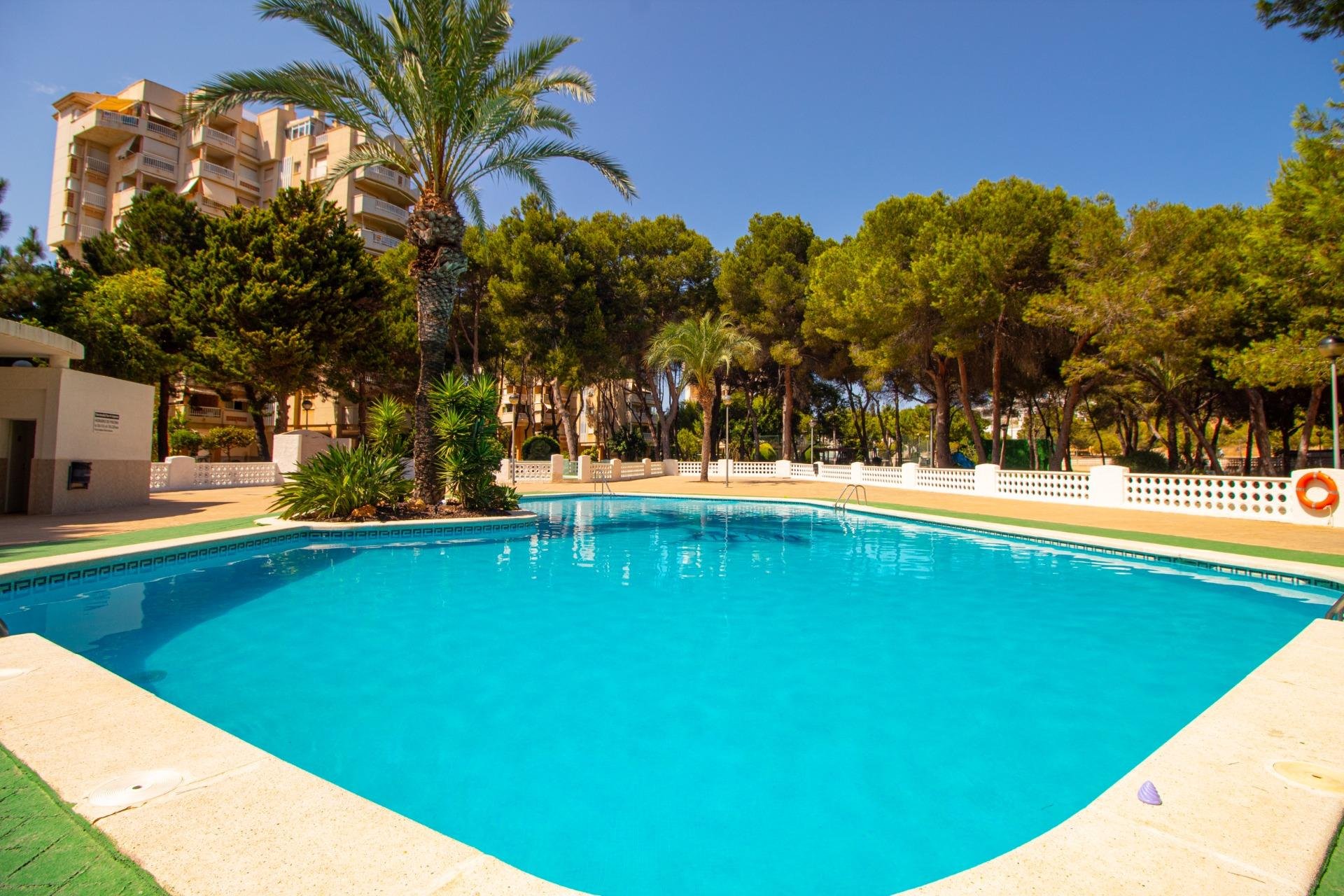 Rynek Wtórny - Apartament - Orihuela Costa - Campoamor