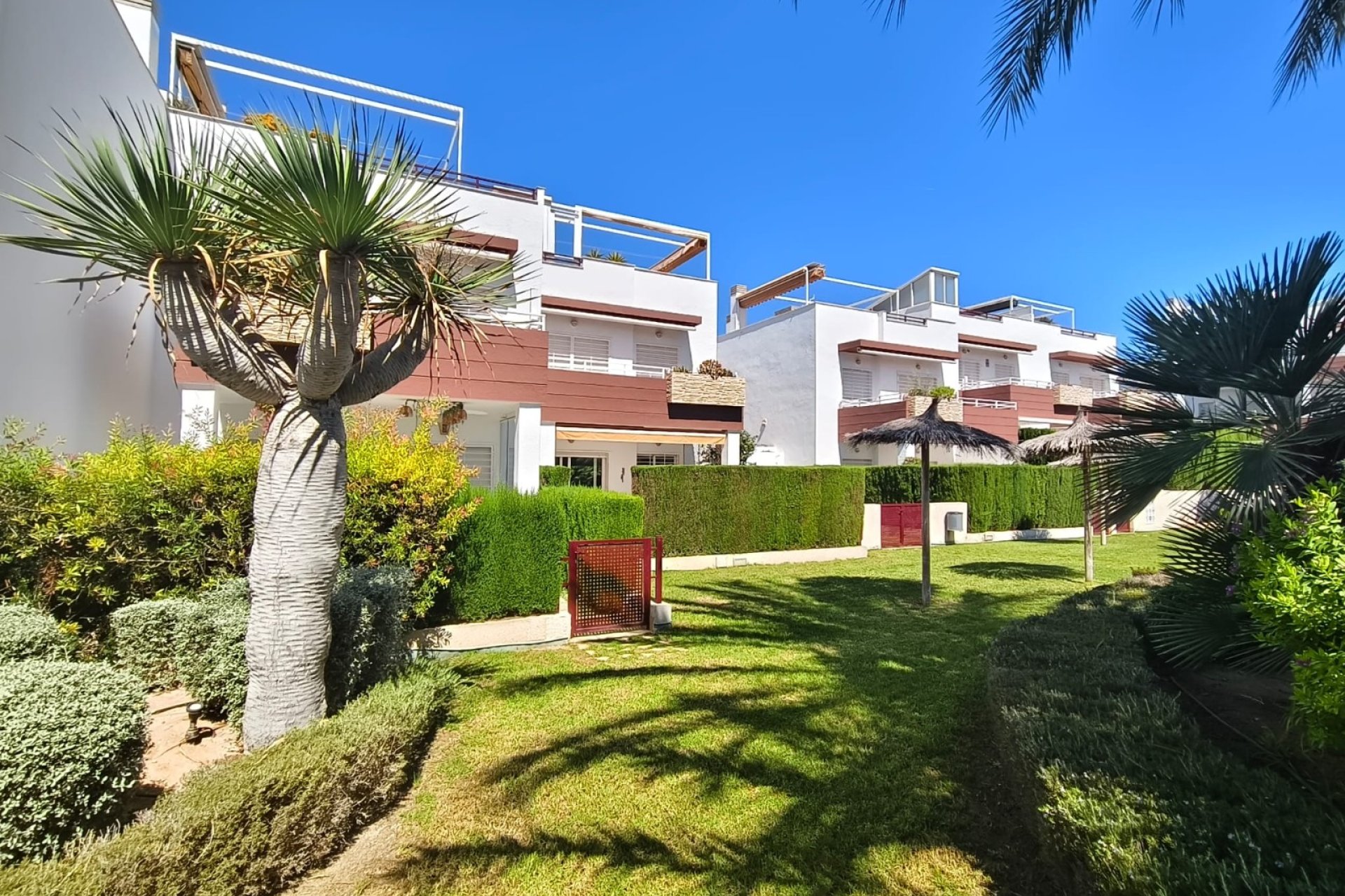 Rynek Wtórny - Apartament - Orihuela Costa - La Ciñuelica