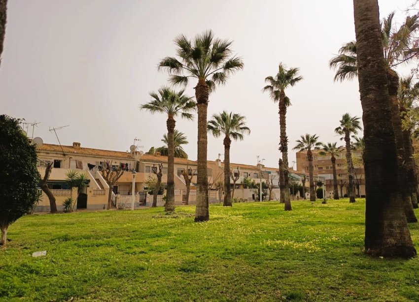 Rynek Wtórny - Apartament - Orihuela Costa - La Regia