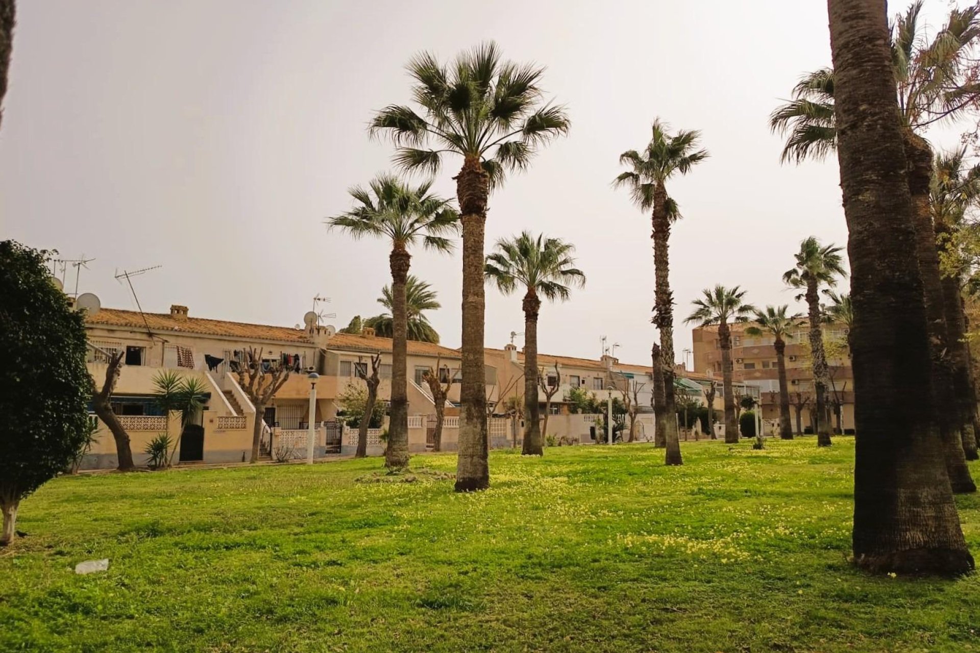 Rynek Wtórny - Apartament - Orihuela Costa - La Regia