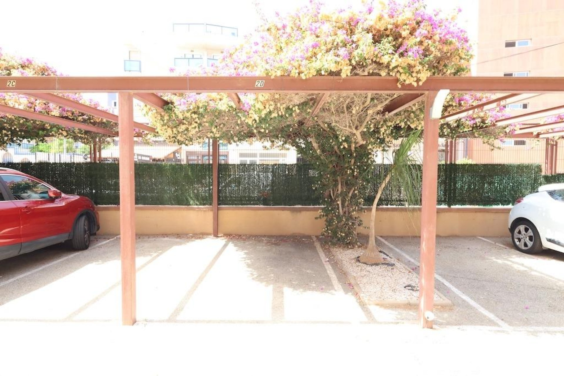 Rynek Wtórny - Apartament - Orihuela Costa - La Regia