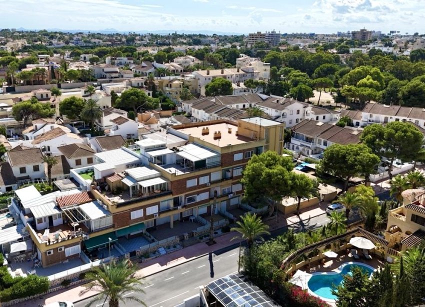 Rynek Wtórny - Apartament - Orihuela Costa - La Zenia