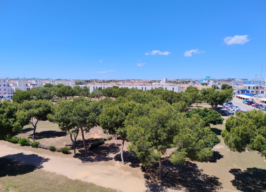 Rynek Wtórny - Apartament - Orihuela Costa - La Zenia
