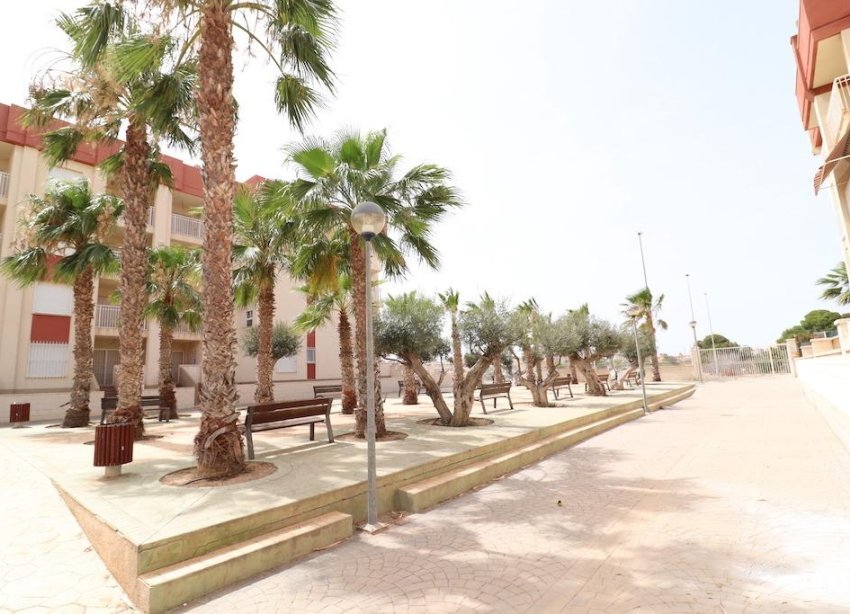 Rynek Wtórny - Apartament - Orihuela Costa - Lomas de Cabo Roig