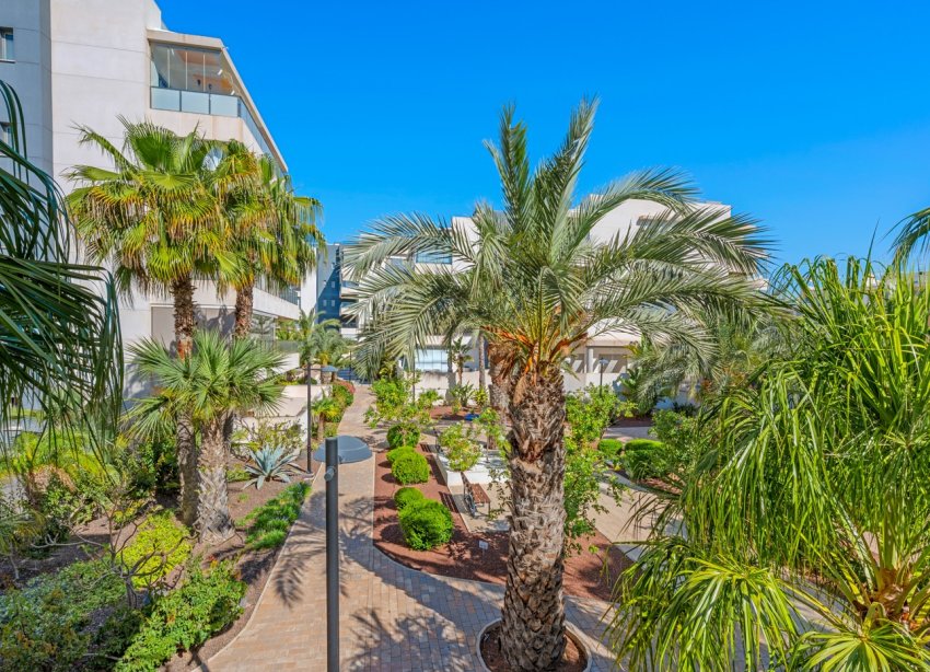 Rynek Wtórny - Apartament - Orihuela Costa - Los Dolses