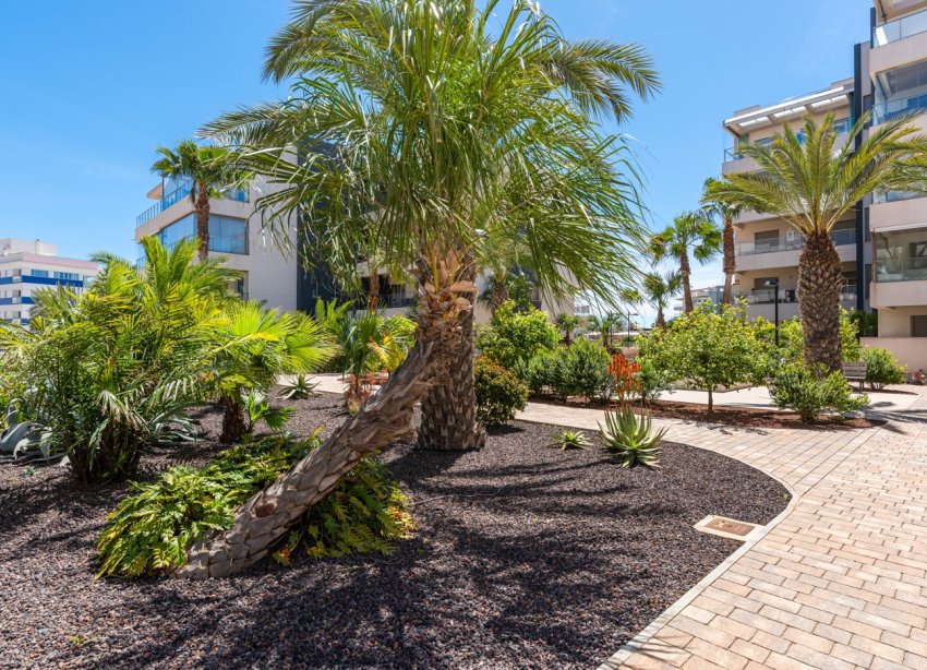 Rynek Wtórny - Apartament - Orihuela Costa - Los Dolses