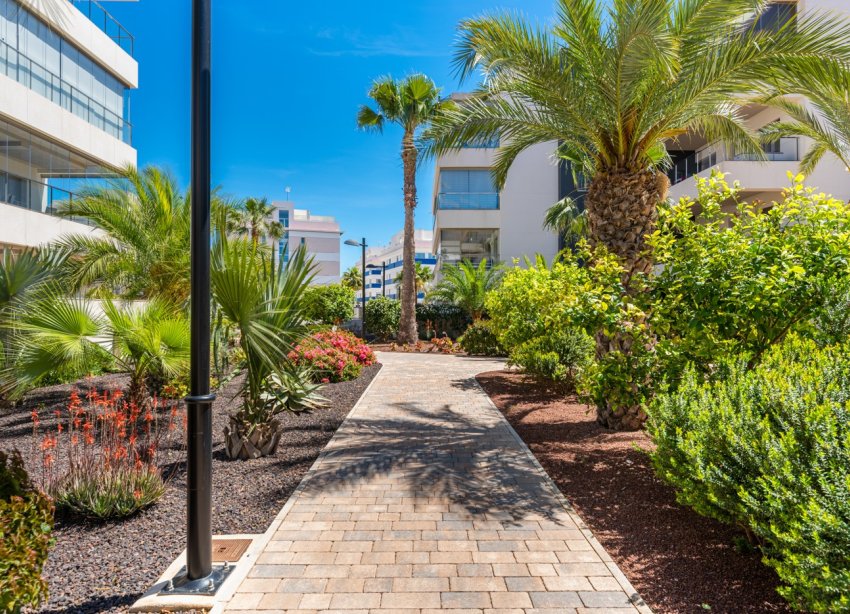 Rynek Wtórny - Apartament - Orihuela Costa - Los Dolses