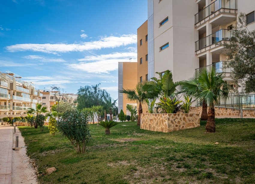 Rynek Wtórny - Apartament - Orihuela Costa - Los Dolses