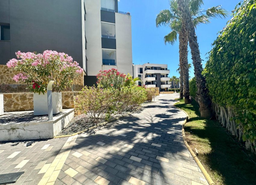 Rynek Wtórny - Apartament - Orihuela Costa - PAU 8