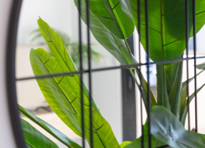 Rynek Wtórny - Apartament - Orihuela Costa - Playa Flamenca