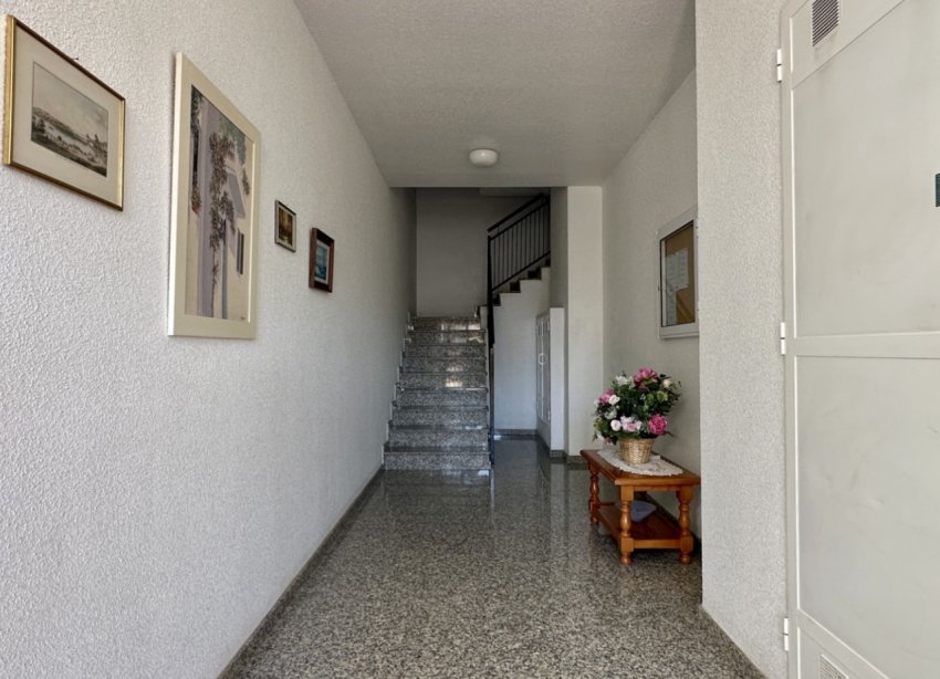 Rynek Wtórny - Apartament - Orihuela Costa - Playa Flamenca