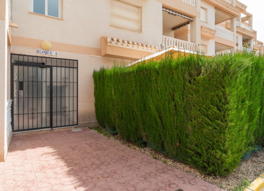 Rynek Wtórny - Apartament - Orihuela Costa - Playa Flamenca