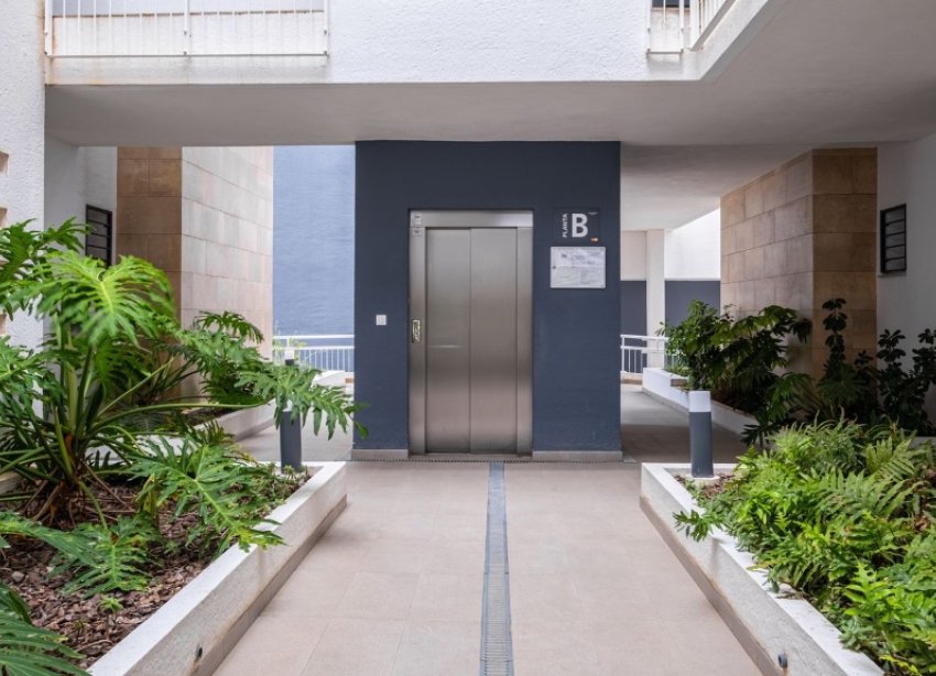 Rynek Wtórny - Apartament - Orihuela Costa - Playa Flamenca