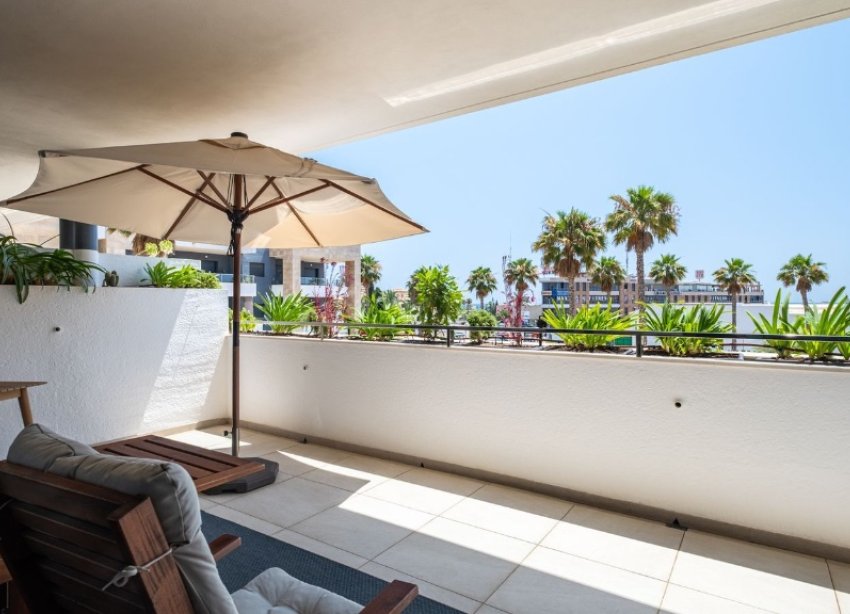 Rynek Wtórny - Apartament - Orihuela Costa - Playa Flamenca