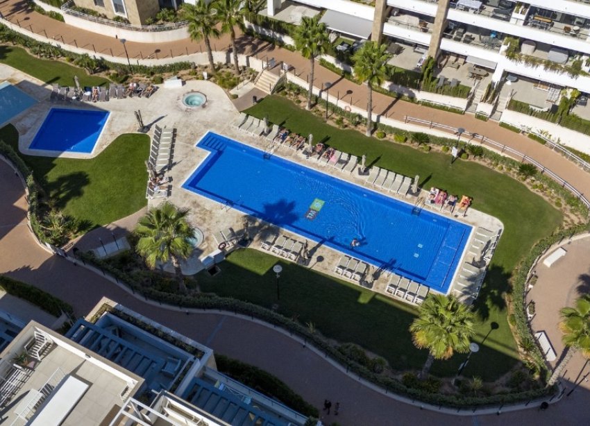 Rynek Wtórny - Apartament - Orihuela Costa - Playa Flamenca