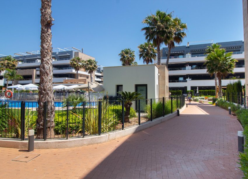 Rynek Wtórny - Apartament - Orihuela Costa - Playa Flamenca