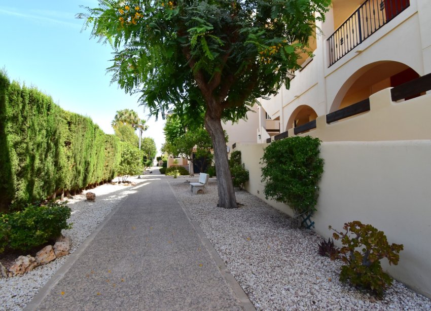 Rynek Wtórny - Apartament - Orihuela Costa - Playa Flamenca