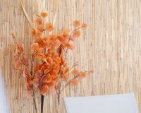 Rynek Wtórny - Apartament - Orihuela Costa - Punta Prima