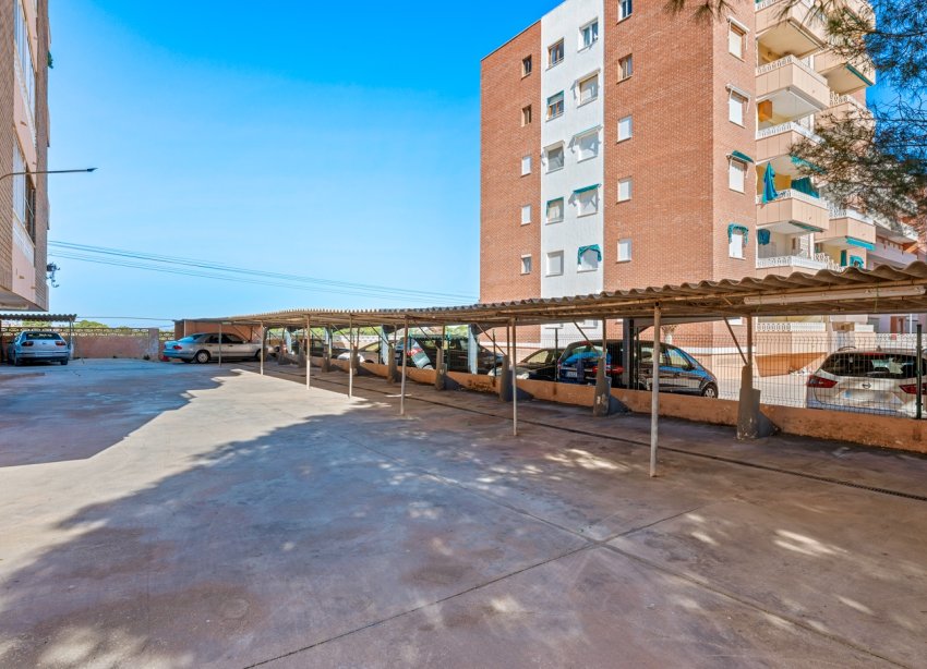 Rynek Wtórny - Apartament - Orihuela Costa - Punta Prima
