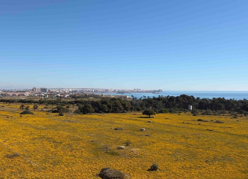 Rynek Wtórny - Apartament - Orihuela Costa - Punta Prima