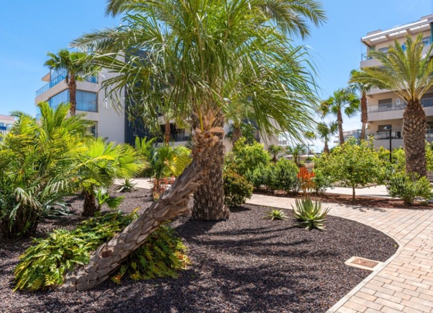 Rynek Wtórny - Apartament - Orihuela Costa - Villamartín