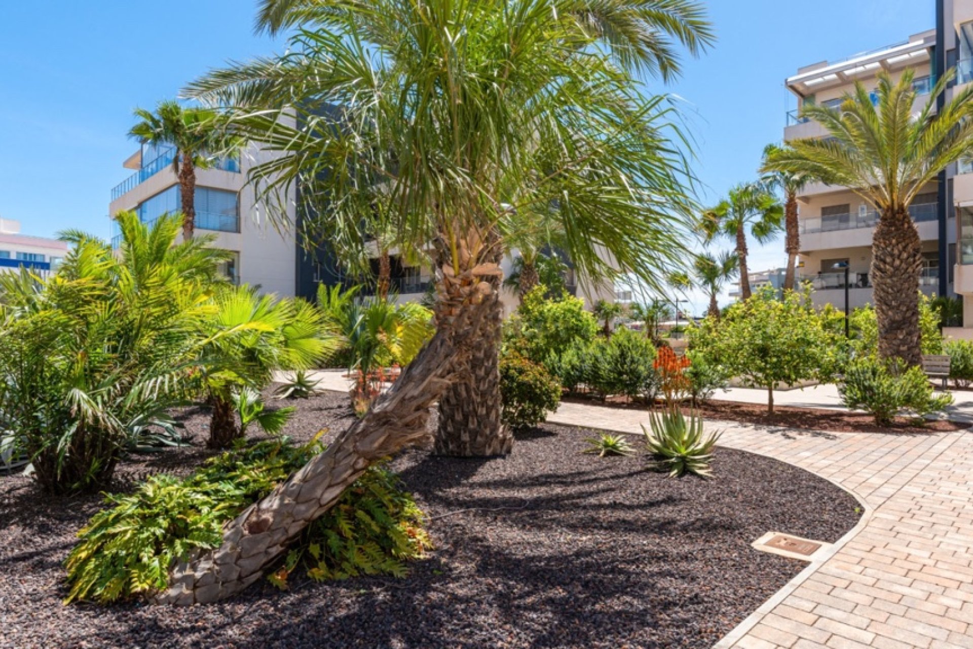 Rynek Wtórny - Apartament - Orihuela Costa - Villamartín