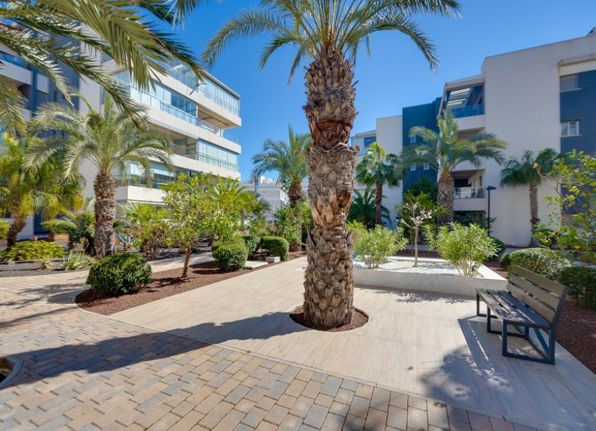 Rynek Wtórny - Apartament - Orihuela Costa - Villamartín