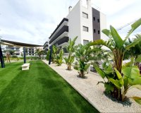 Rynek Wtórny - Apartament - Orihuela Costa - Villamartín