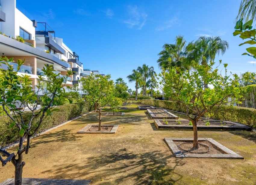 Rynek Wtórny - Apartament - Orihuela Costa - Villamartín