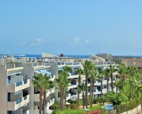 Rynek Wtórny - Apartament - Playa Flamenca