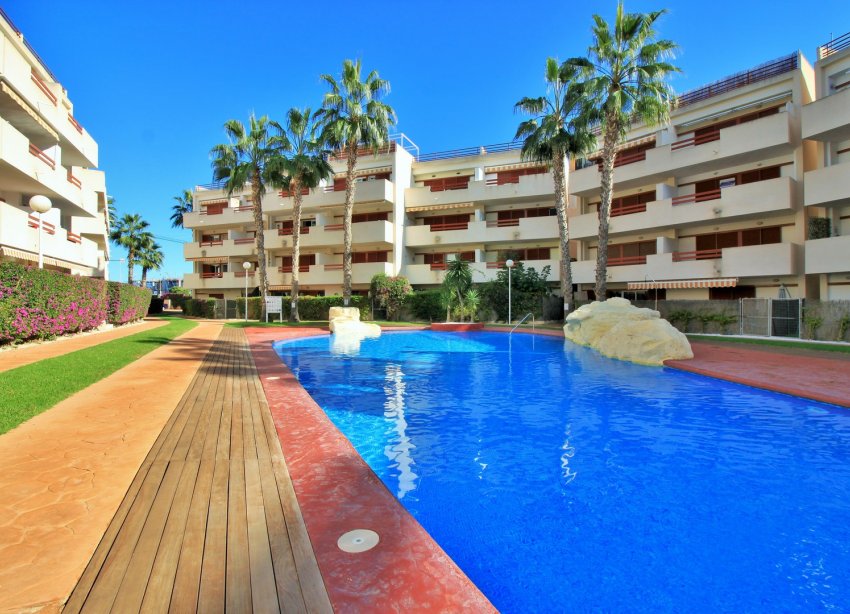 Rynek Wtórny - Apartament - Playa Flamenca