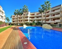 Rynek Wtórny - Apartament - Playa Flamenca