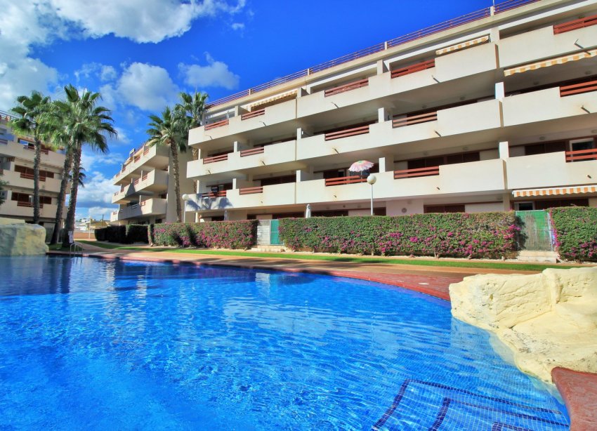 Rynek Wtórny - Apartament - Playa Flamenca