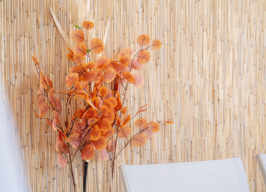 Rynek Wtórny - Apartament - Punta Prima