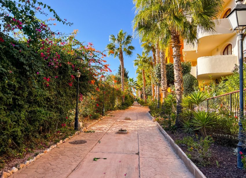 Rynek Wtórny - Apartament - Punta Prima