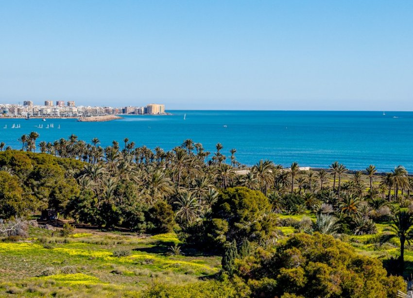 Rynek Wtórny - Apartament - Punta Prima