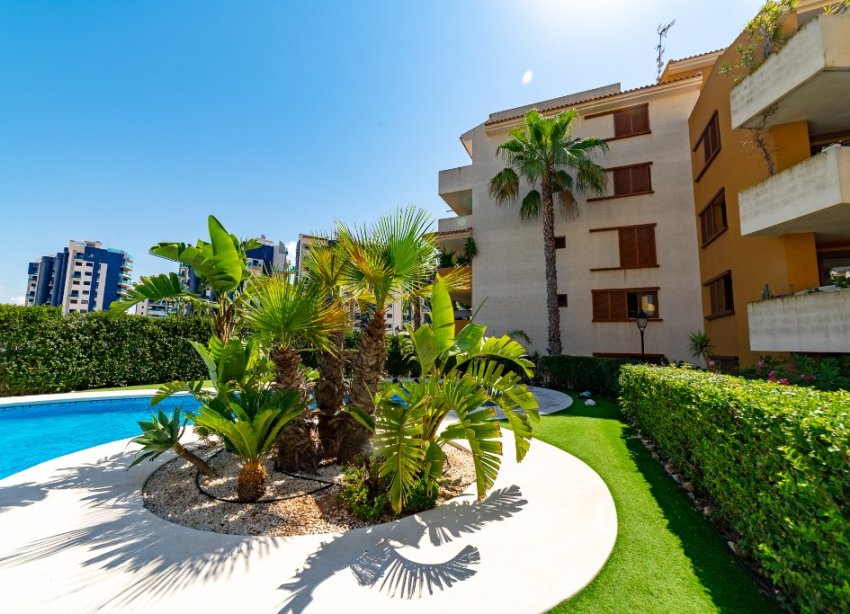 Rynek Wtórny - Apartament - Punta Prima