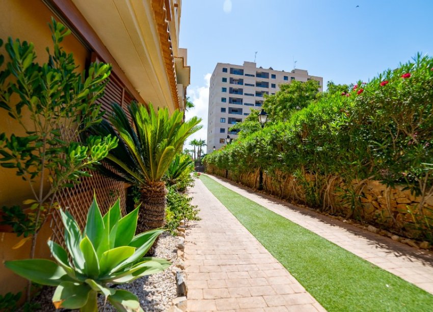 Rynek Wtórny - Apartament - Punta Prima