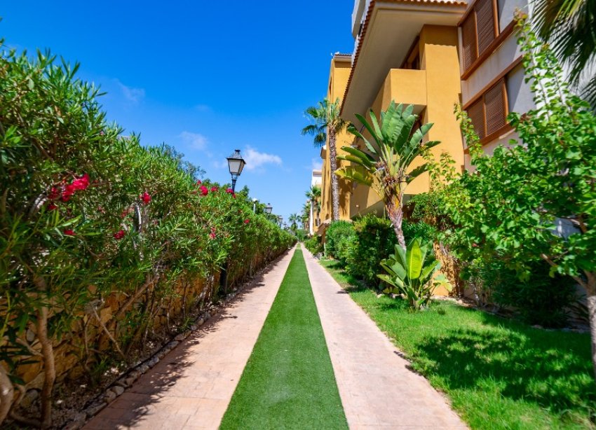 Rynek Wtórny - Apartament - Punta Prima