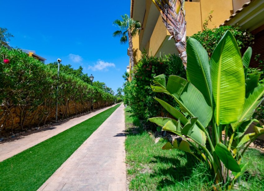 Rynek Wtórny - Apartament - Punta Prima