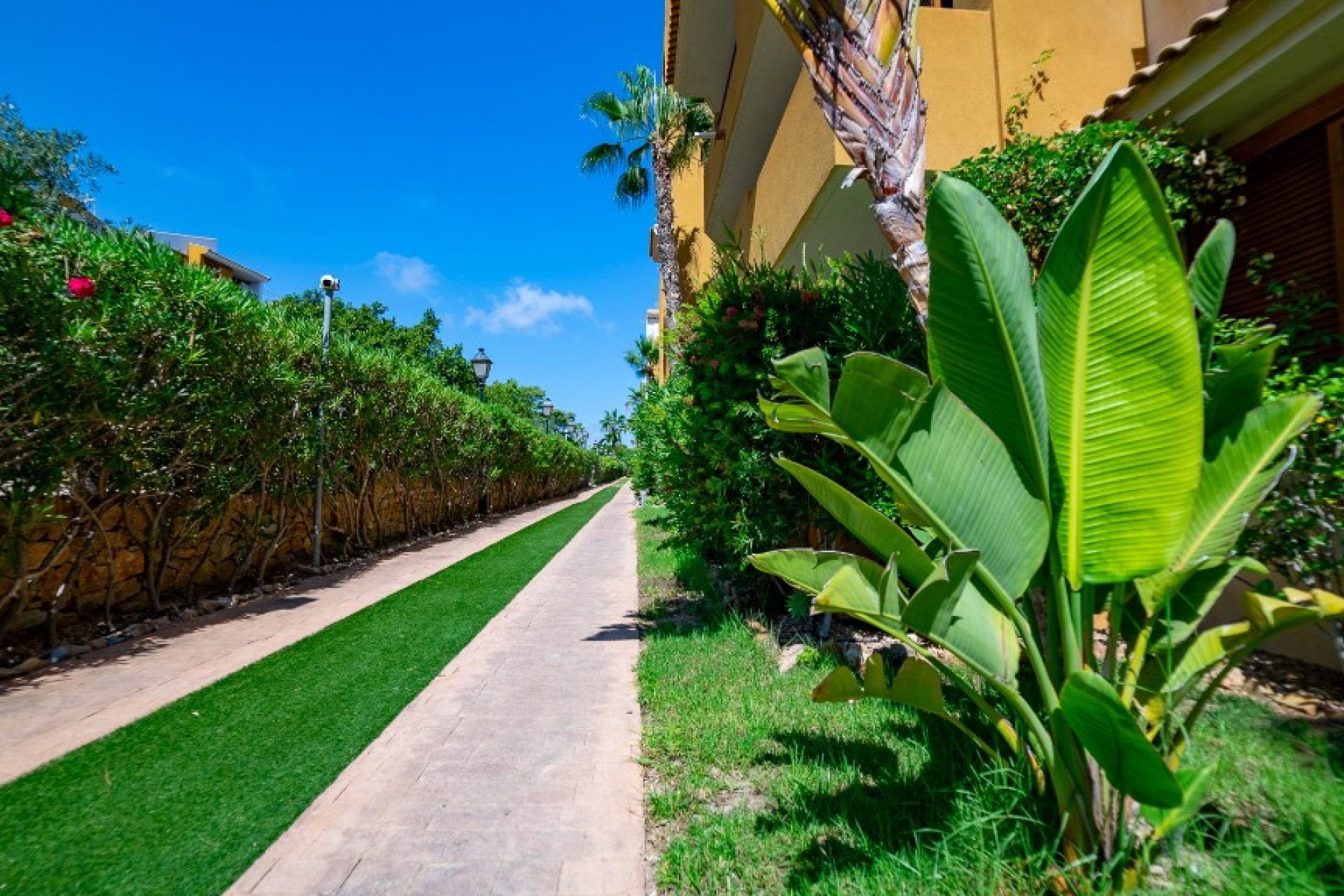 Rynek Wtórny - Apartament - Punta Prima