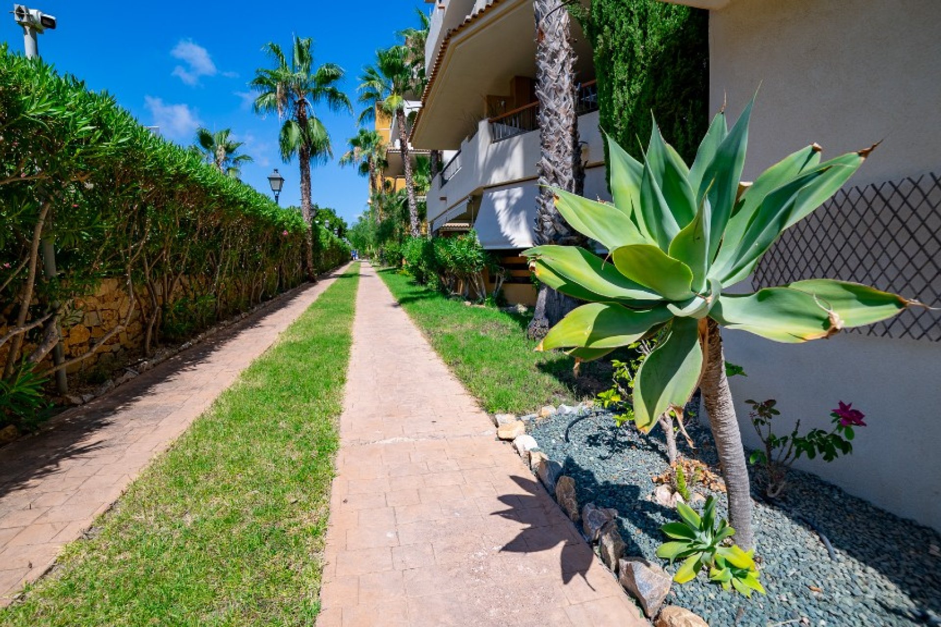 Rynek Wtórny - Apartament - Punta Prima