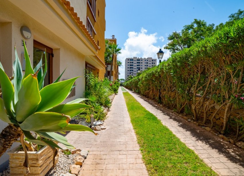 Rynek Wtórny - Apartament - Punta Prima