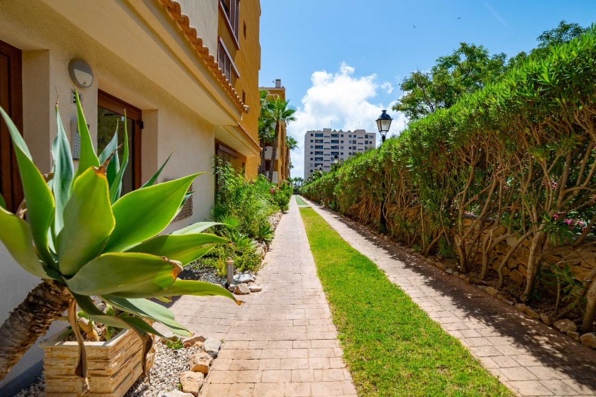 Rynek Wtórny - Apartament - Punta Prima